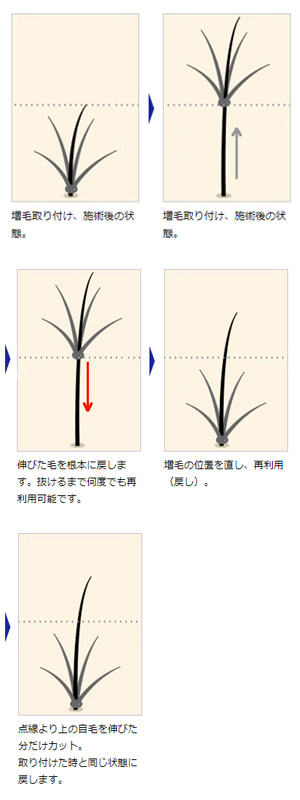 増毛メンテナンスイメージ